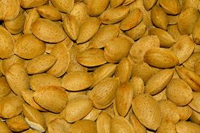 Tasty healthy almonds
