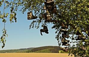 Tree Hiking Shoes Field