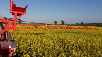 Tractor Nature Oilseed