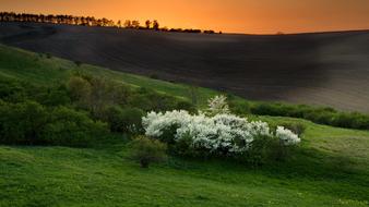 Spring Nature Landscape