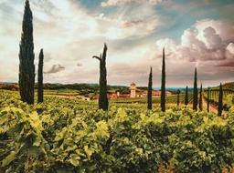 Garden Landscape