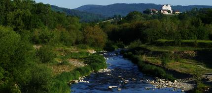 Landscape Nature Bach