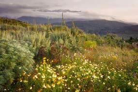 Landscape Nature Mountain