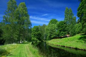 Landscape Summer Sweden