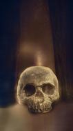 Skull Skeleton Horror