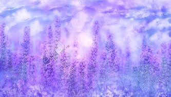 Violet Sage Plant