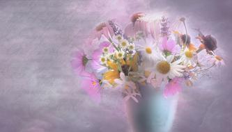 Garden Purple Flowers