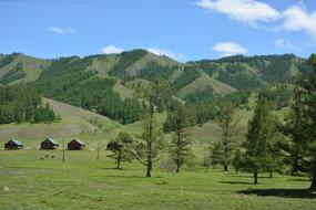 Nature Summer