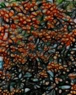 pattern texture background food