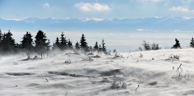 Nature Winter Snow