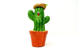 Figure Plant Cactus