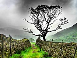 landscape sky nature tree cloud