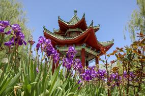 Chinese Building Flowers Garden