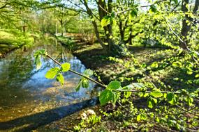 Canal Water Shore