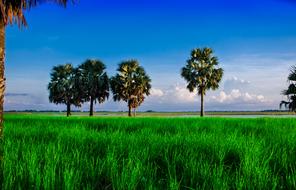 Nature Landscape Blue