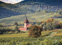 Agriculture Landscape Nature