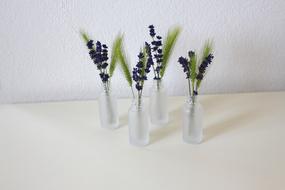 Lavender Vase Cereals