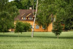 House Building Farm