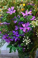 Meadow Flower Pink Syrian Muslims