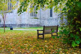 Leaf Bench Tree