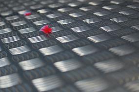 Blossom Flower Spring