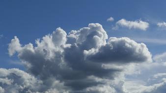 Nature Fluffy Weather