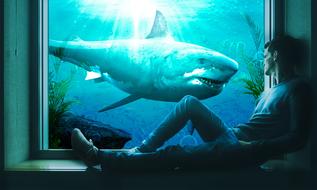 Water Underwater Ocean