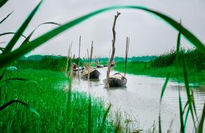 Landscape Water River