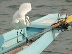 Water Transportation System Travel