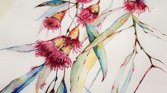 Plant Nature Flowers