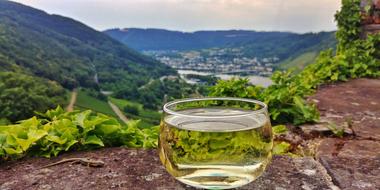 Mosel Wine Winery