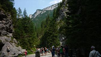 Poland Tatry Mountains