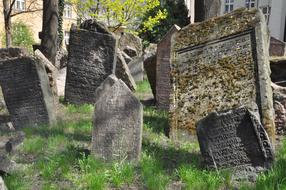 Jewish Cemetery Prague Old