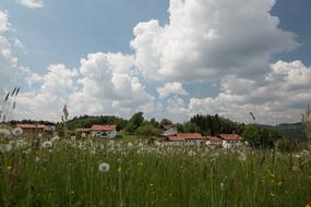 Neuschönau Germany Bavaria