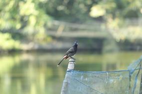 Nature Outdoors Water