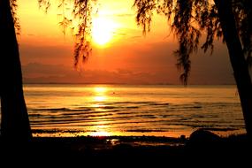 Sunset Beach Silhouette