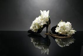 Flower Flora Beautiful