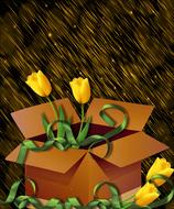 design flowers box background