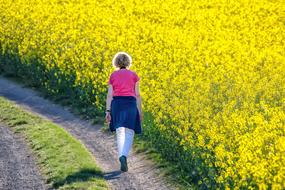 Nature Landscape Field Of