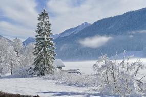 Snow Winter Cold