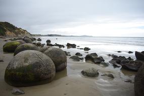 Beach Seashore Sea