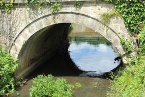 Bridge River Nature
