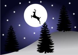 reindeer flight holidays