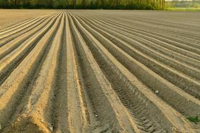 Ground Treatment Field