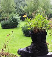 Plant Flowers Boots