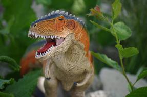 Dinosaur Gigantosaurus Predator