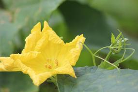 Summer Colorful Nature