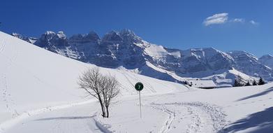 Ride Mountain Snow