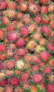 Rambutan Fruit Marketplace