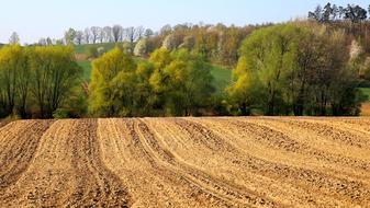 Nature Landscape Field